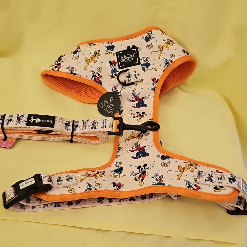 Orange Trim Disney Print Dog Harness - Picture 5 of 5